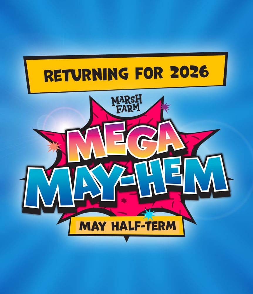 Mega May Half Term 