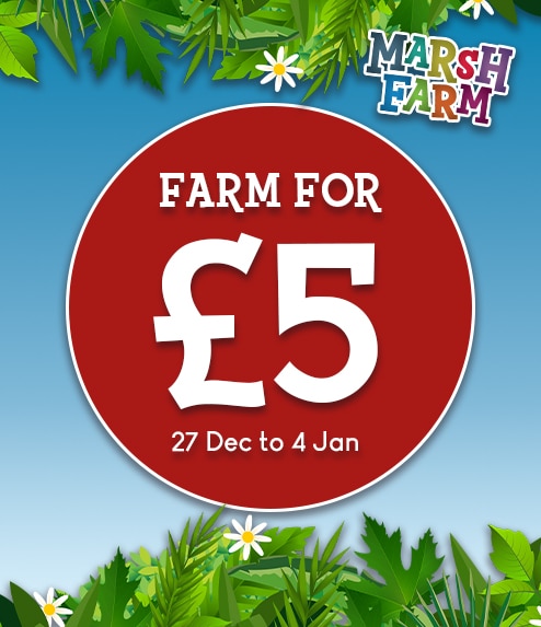 Farm for a Fiver 