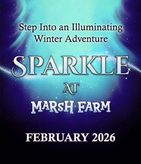 Sparkle at Marsh Farm 